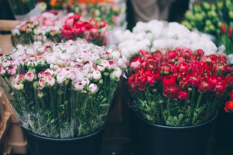 fleuriste-LE REVEST LES EAUX-min_farmers-market-1209712